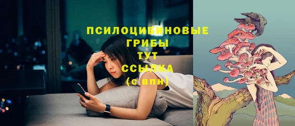 Альфа ПВП Волоколамск
